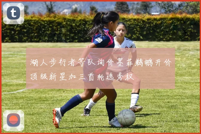 湖人步行者等队询价墨菲鹈鹕开价顶级新星加三首轮选秀权
